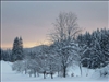 m 018 neu